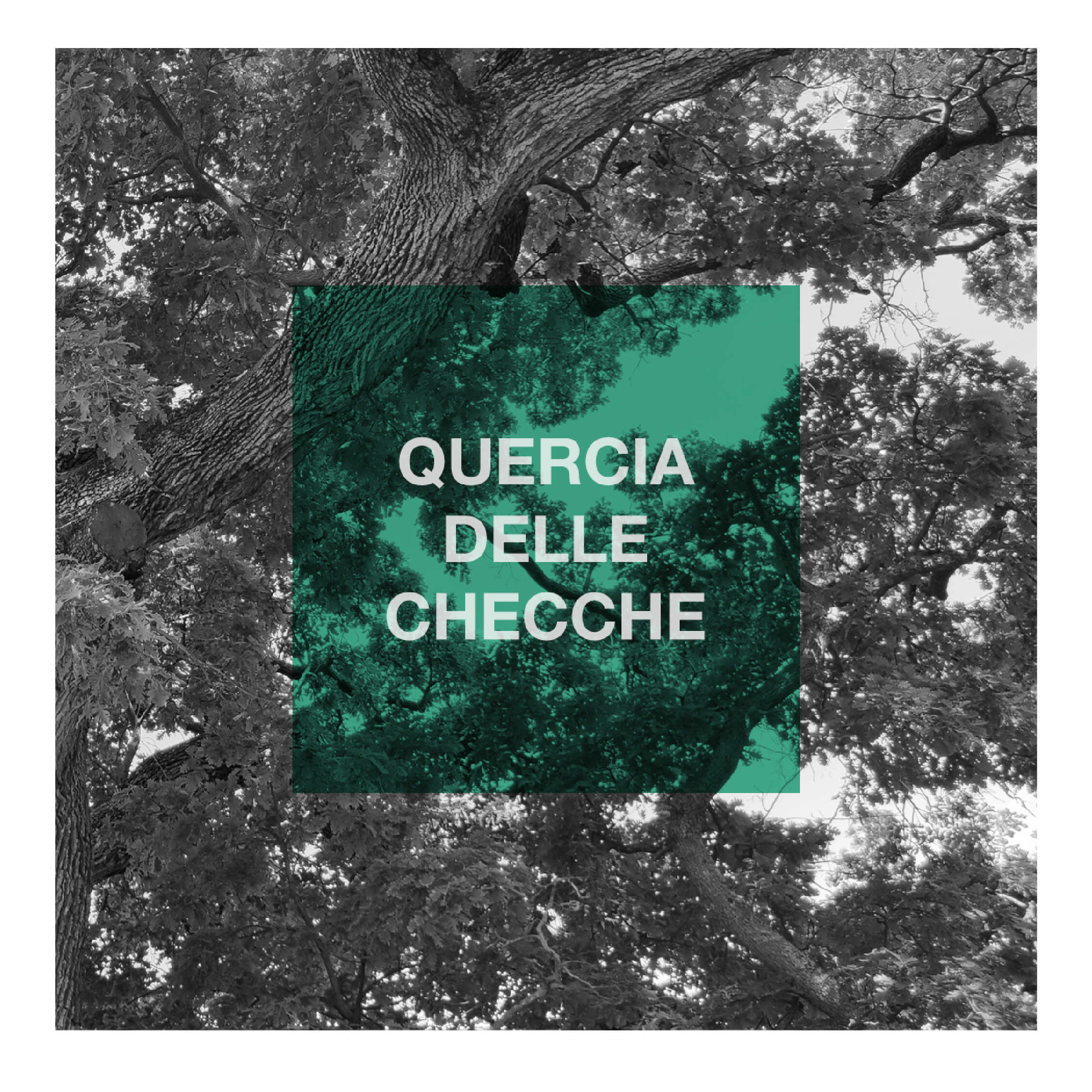 La Quercia delle Checche Laura Ralli Graphic Designer